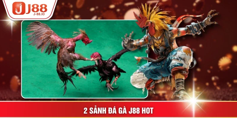 2 sảnh đá gà J88 hot