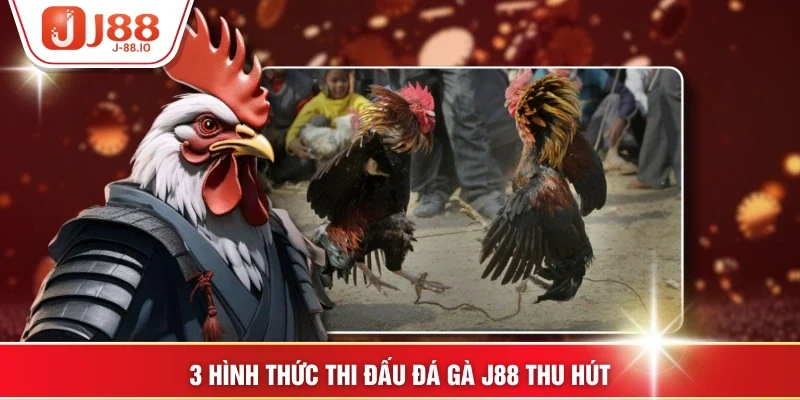 3 hình thức thi đấu đá gà J88 thu hút