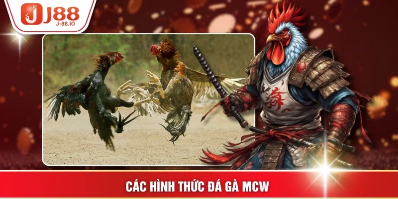 Các hình thức Đá gà MCW