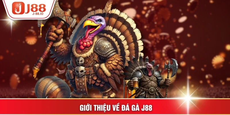 Giới thiệu về đá gà J88