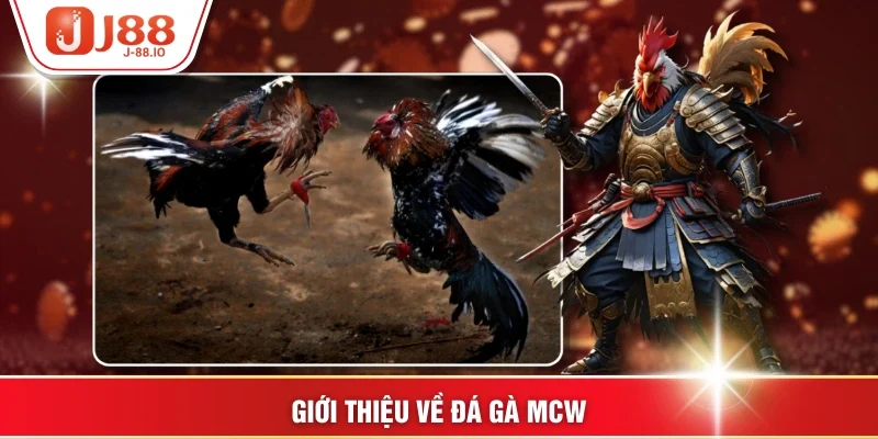 Giới thiệu về Đá gà MCW