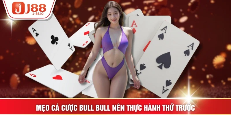 Mẹo cá cược Bull Bull nên thực hành thử trước