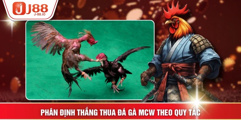 Phân định thắng thua Đá gà MCW theo quy tắc