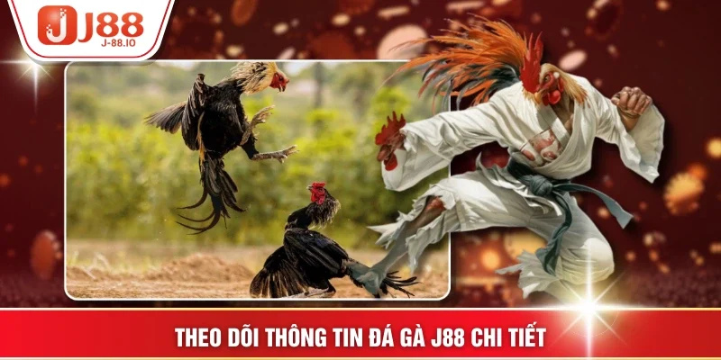 Theo dõi thông tin đá gà J88 chi tiết