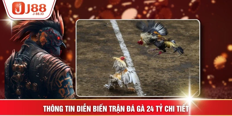 Thông tin diễn biến trận đá gà 24 tỷ chi tiết
